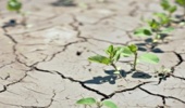 مقاله / عزم راسخ جهانی جهت عبور از معضل خشکسالی