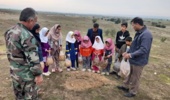 بوشهر/ اجرای برنامه مشارکتی بذرکاری در پروژه چاله فلسی روستای جره سعدآباد دشتستان