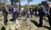 گزارش تصویری/مراسم کاشت درخت توسط مدیران و کارکنان حراست وزارت جهاد کشاورزی 
