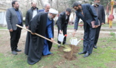 درختکاری فرزندان شهدا به نیابت از شهدا