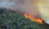 وقوع ۲۹ فقره آتشسوزی جنگلی در سال جاری/ ایجاد ۱۸ پایگاه اطفای حریق در کشور