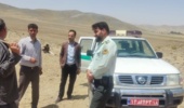 همدان/ ساماندهی کوچ عشایر و برخورد با دامداران غیر مجاز در سطح مراتع شهرستان ملایر