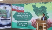 چهار میلیون بذر و نهال در استان مرکزی کاشته می شود