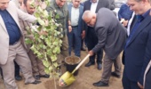 با حضور دکتر نوبخت انجام گرفت؛ آغاز پروژه دو هزار هکتاری زراعت چوب در استان اردبیل