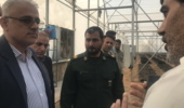 بازدید رییس سازمان منابع طبیعی از مجموعه گلخانه ای و نخلستان دهکده اقتصاد مقاومتی اهواز /به روایت تصویر