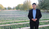 تولید 4 برابری نهال جهت اجرای طرح مردمی کاشت یک میلیارد درخت