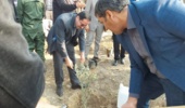 آغاز طرح کاشت مردمی یک میلیارد درخت/ ۶۲ میلیون نهال میوه تولید شد