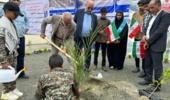 کاشت نمادین سه نهال خرما در مدرسه شبانه روزی تازه تاسیس در بشاگرد 