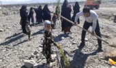 جنوب کرمان/همزمان با دهه فجر عملیات نهالکاری پارک شهر چاه مرید کهنوج آغاز شد