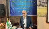 دکتر نوبخت: سازمان منابع طبیعی با همراهی دستگاه قضا تعارفی با افراد متصرف اراضی ملی ندارد