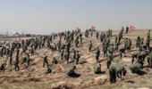 سازمان بسیج سازندگی، همراه منابع طبیعی در طرح کاشت یک میلیارد درخت   