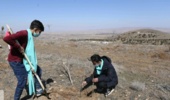 یگان ویژه و منابع طبیعی در راه سرسبزی سیستان و بلوچستان /تفاهمنامه کاشت یک میلیارد درخت