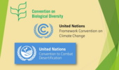 نشست مشترک کنوانسیون های ریو تحت عنوان "اتحاد برای زمین" برگزار می شود
