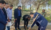 کاشت نهال با حضور مشاور وزیر جهاد کشاورزی در امور جوانان و نخبگان