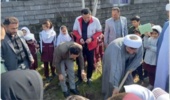 ساری / برگزاری مراسم نهالکاری در سرخرود محمودآباد