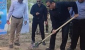 کاشت ۱۷ هزار نهال در استان بوشهر