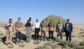 تدوین طرح بیابان‌زدایی در ۲۳۴ هزار و ۱۴۸ هکتار از اراضی استان مرکزی