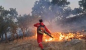 660 هزار هکتار از مناطق کهگیلویه و بویراحمد بحرانی هستند/تشکیل ۸ پرونده قضایی در رابطه با آتش سوزی مزارع