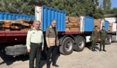 کشف محموله بزرگ قاچاق چوب در استان اردبیل/ 550 اصله الوار جنگلی ضبط شد