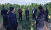 بازدید رئیس مرکز جنگلهای خارج از شمال از نهالستان بزرگ کرج