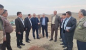 بازدید سرپرست سازمان منابع طبیعی از طرحهای احیای چمنزارهای گنبدکاووس