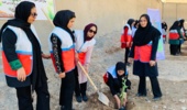 پویش کاشت نهال در سیستان و بلوچستان برگزار شد