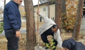 تهران/ کاشت ۱۰۰ اصله نهال به مناسبت هفته بسیج و در راستای طرح مردمی کاشت یک میلیارد درخت