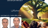 وبینار بررسی نقش ترافل در جنگل کاری پایدار منطقه زاگرس برگزار می شود                  