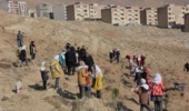 پویش پدرانه نهالکاری در چهارمحال و بختیاری برگزار شد