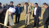 قزوین/ کاشت هزار اصله نهال در پویش مردمی " در سایه پدر "