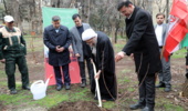 گزارش تصویری/ حضور و درختکاری رئیس مجمع تشخیص نظام در سازمان منابع طبیعی