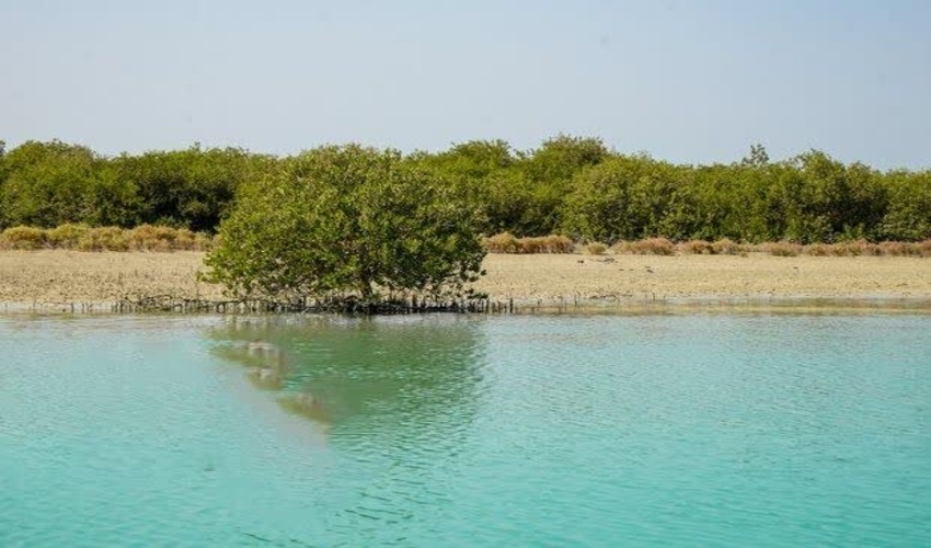 سپر سبز هرمزگان از پارسیان تا جاسک