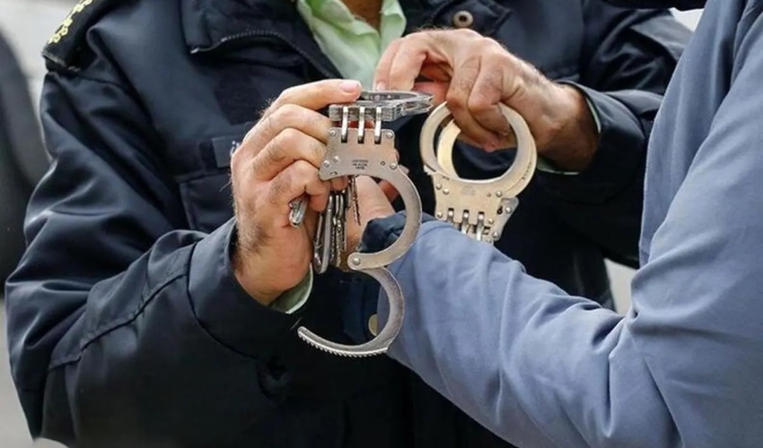 کشف ۱۶ اصله گرده بینه قاچاق در استان اردبیل