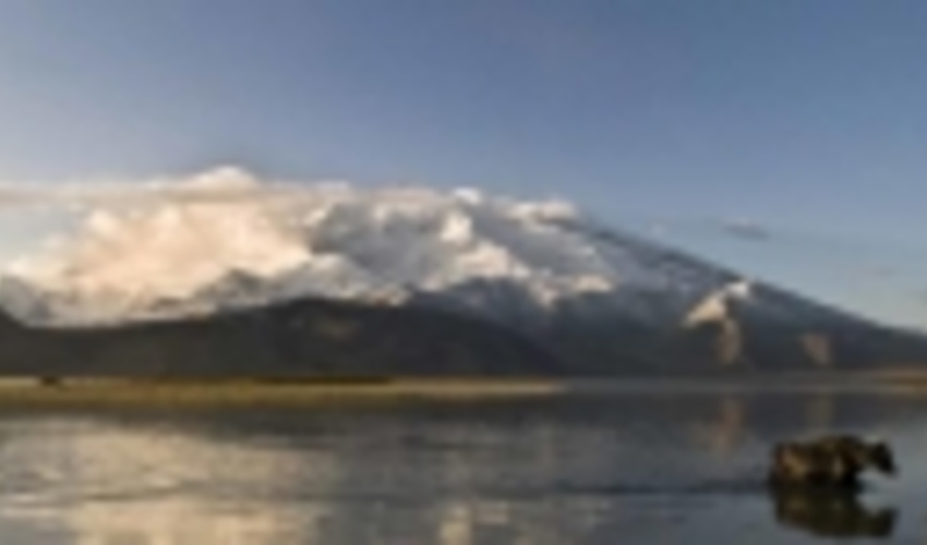 UNCCD presents Drought Initiative at UN-Water meeting