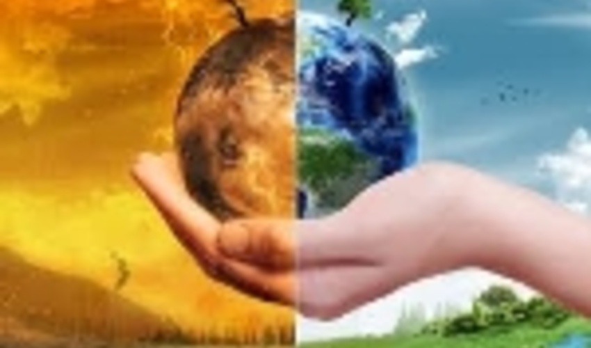 Forest, part of solution to global warming