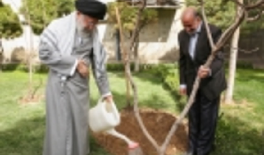Trees and plants embellish living environments, restore climate: Ayatollah Khamenei