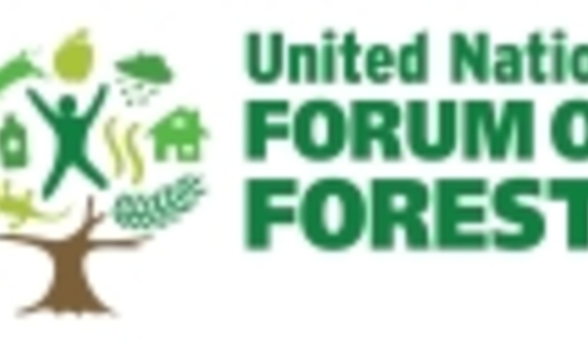 13th session of United Nations Forum on Forests (UNFF13)