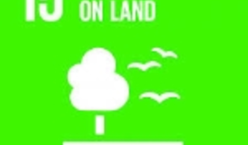 UNCCD hosts a discussion on LDN and the SDGs at LAC Sustainable Development Forum