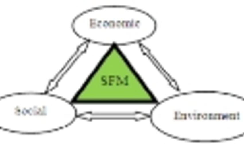 Validation Workshop on Sustainable Forest Management in Iran