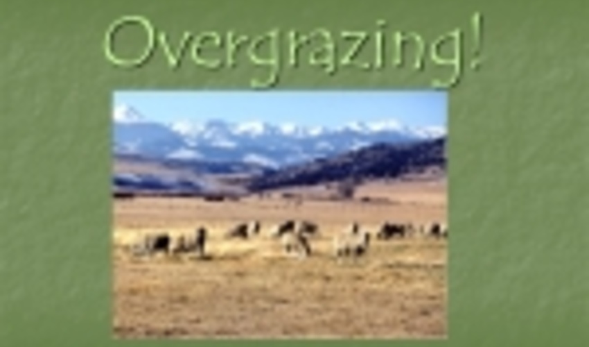 Pastures Threatened by Overgrazing 