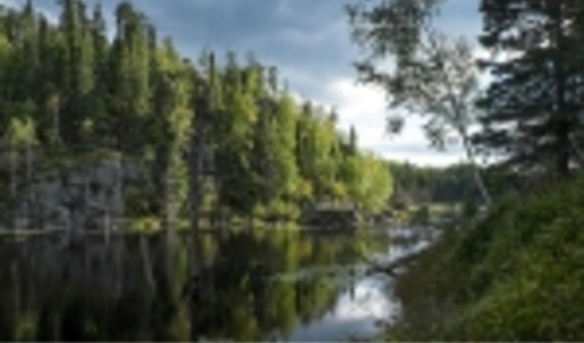 Concept Note for the GLF Investment Case Symposium 2018