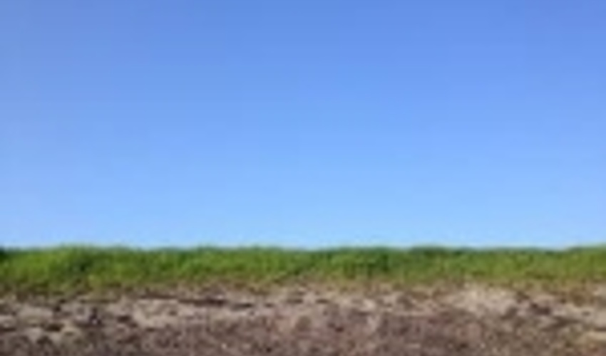 Getting landscape approaches off the ground, on the ground 