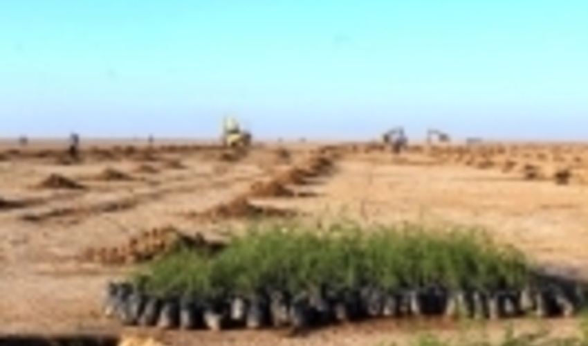 22 هزار هکتار عملیات بیابان زدائی در انتظار تخصیص اعتبار می باشد