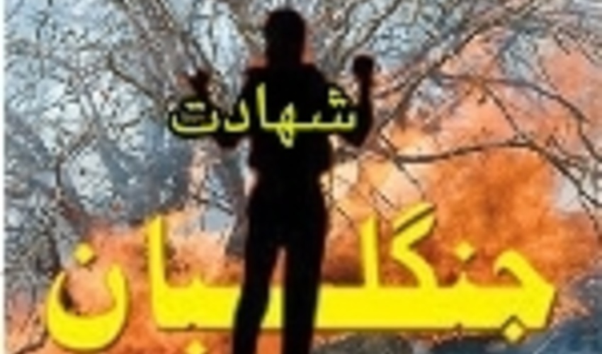 4 نفر در آتش سوزی جنگل‌ها و مراتع مریوان جان باختند