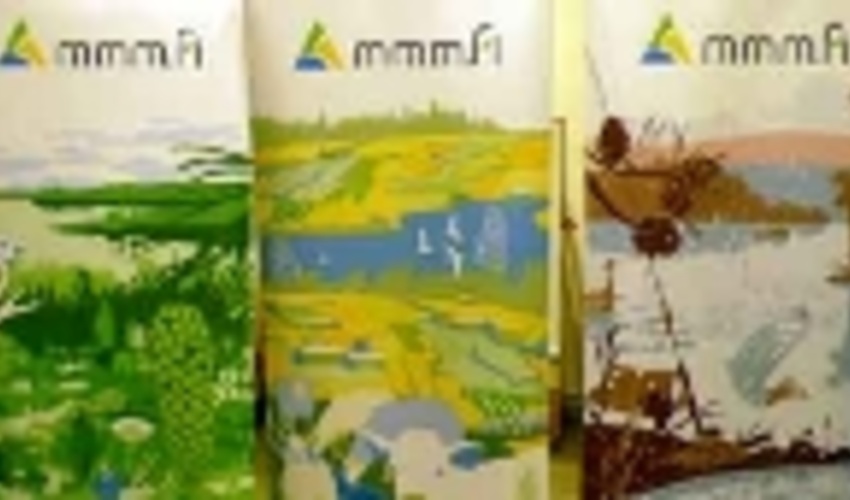 Forestry Strategies and programmes in Finland  