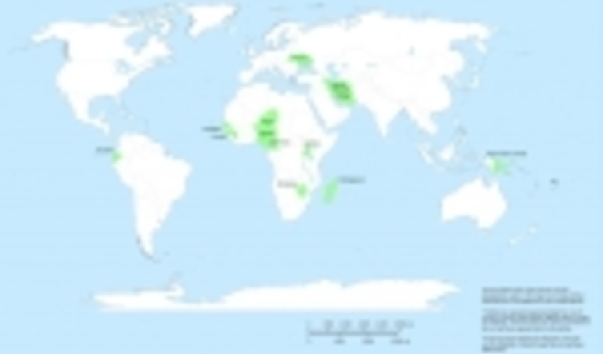 Global Forest Financing Facilitation Network (GFFFN)