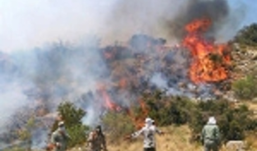 سرباز وظیفه در جریان مهار آتش سوزی در ایلام جان باخت