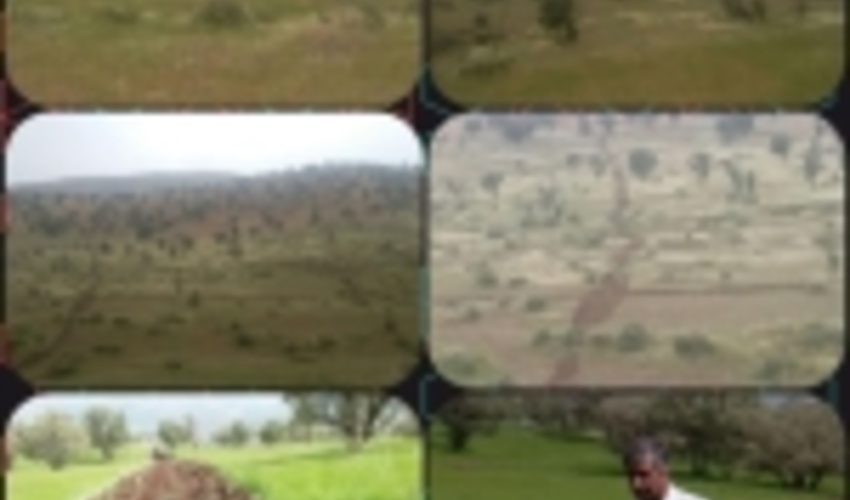 خلع ید ۶۰۰ هکتار از اراضی ملی در شهرستان چگنی