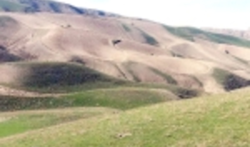 طرح حدنگاری در 2 میلیون هکتار عرصه طبیعی سمنان اجرا می شود