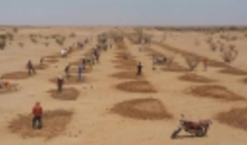 A plot of land: hope restoration in Agadez/ Niger